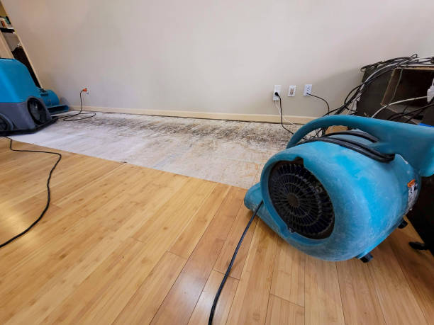 Professional Flood Damage Cleanup technician working in Allons, TN